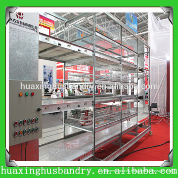 broiler poultry farm house design&poultry house equipment